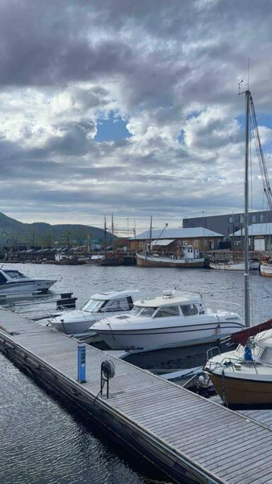 City Center Stylish Loft Trondheim Eksteriør billede